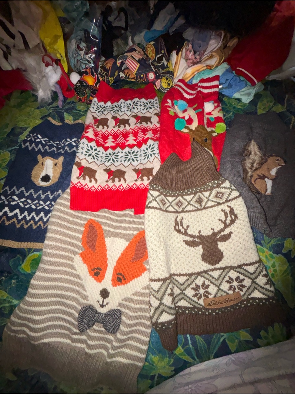 DOGGIE SWEATER BUNDLE. SUPER CUTE. XMAS. ETC